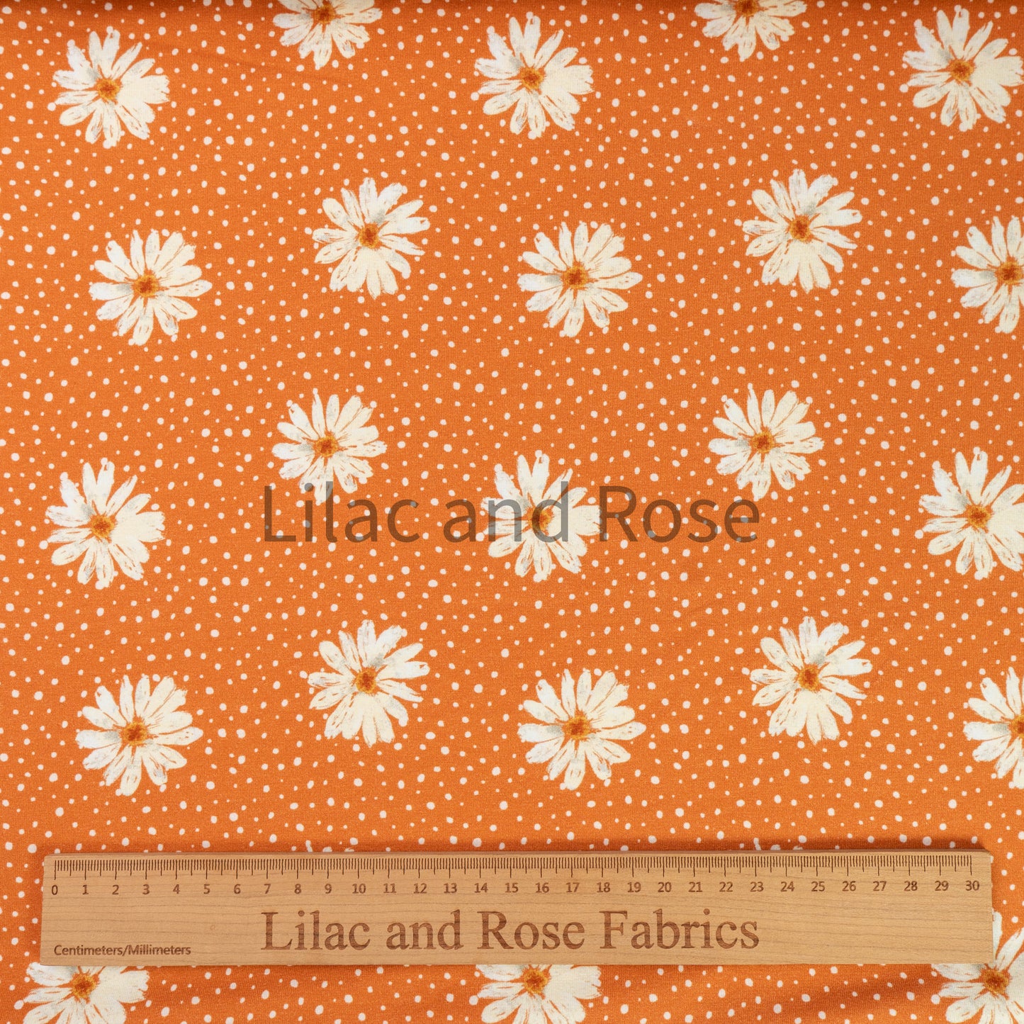 Cotton Jersey - Daisies - Orange