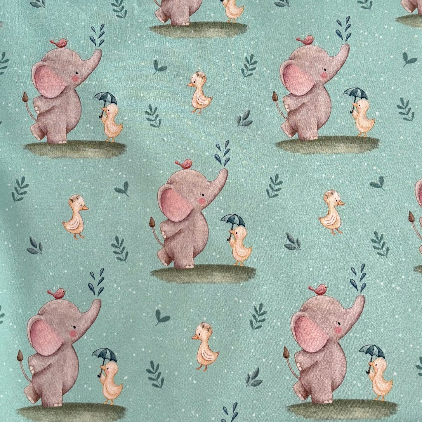Softshell - Ellie and Wander - Aqua (Exclusive)
