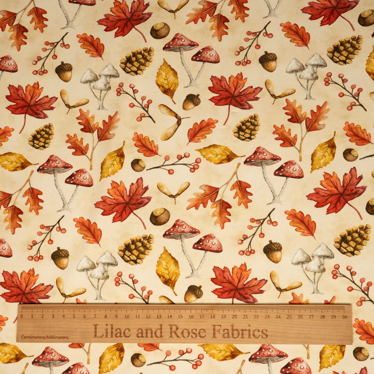 Cotton Jersey - Autumn Leaves