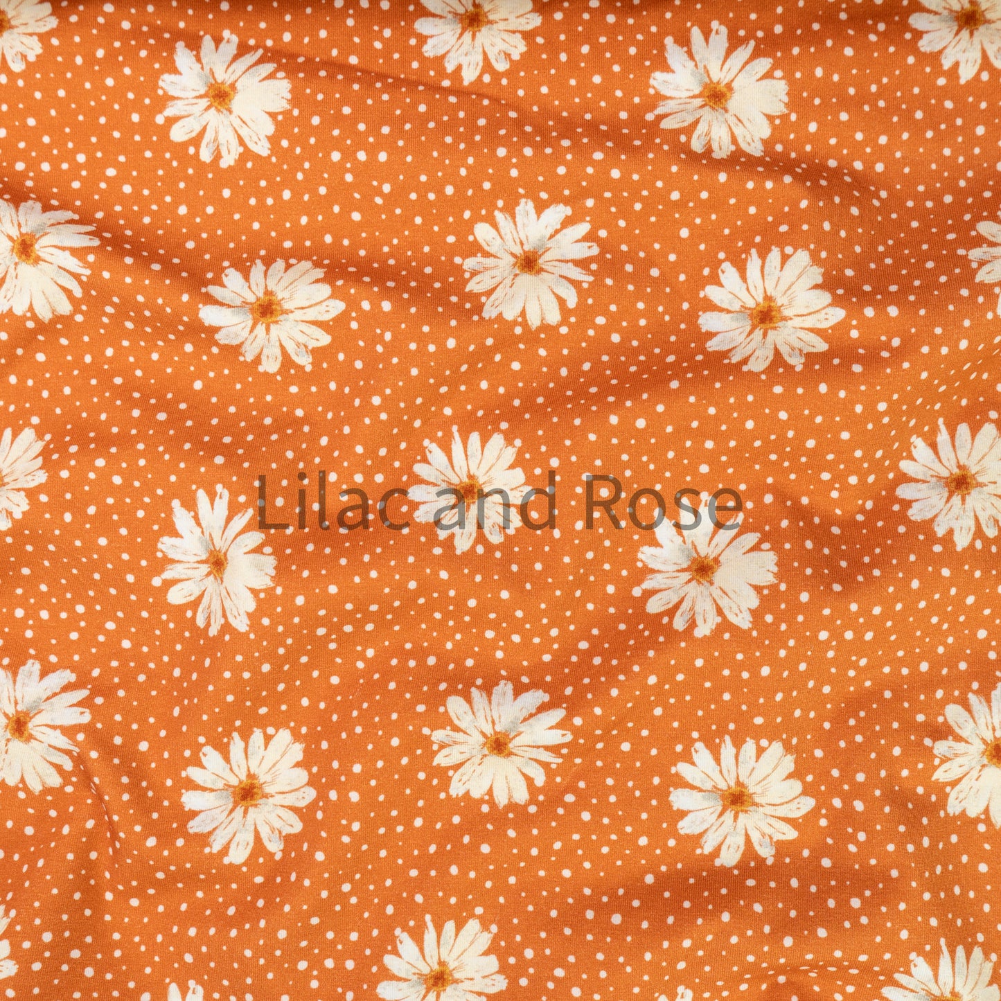 Cotton Jersey - Daisies - Orange