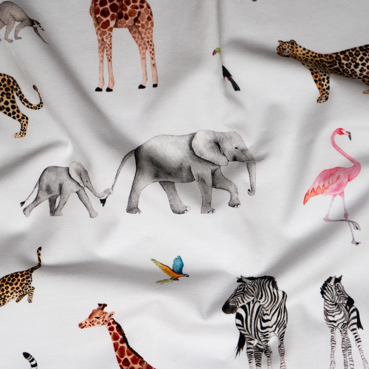 Cotton Jersey 240gsm - Safari Adventure in White