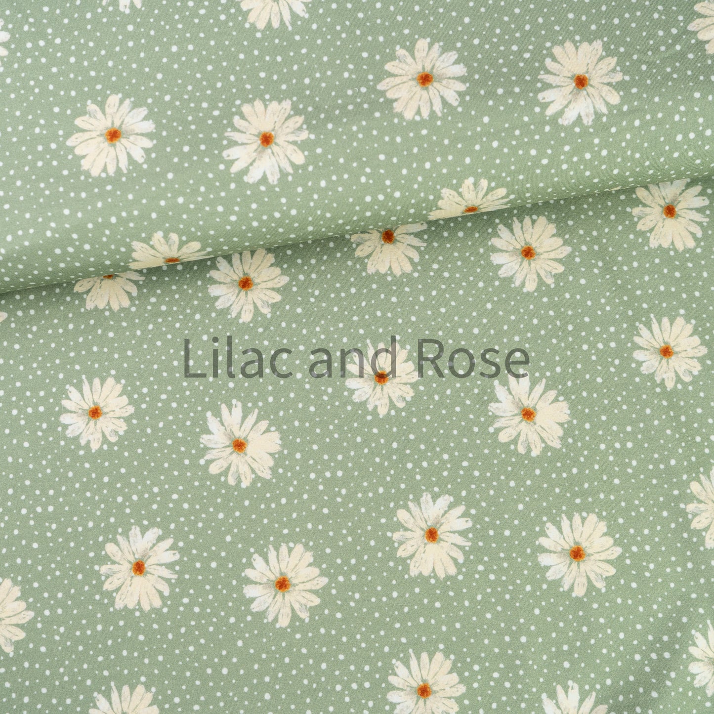 Cotton Jersey - Daisies - Sage