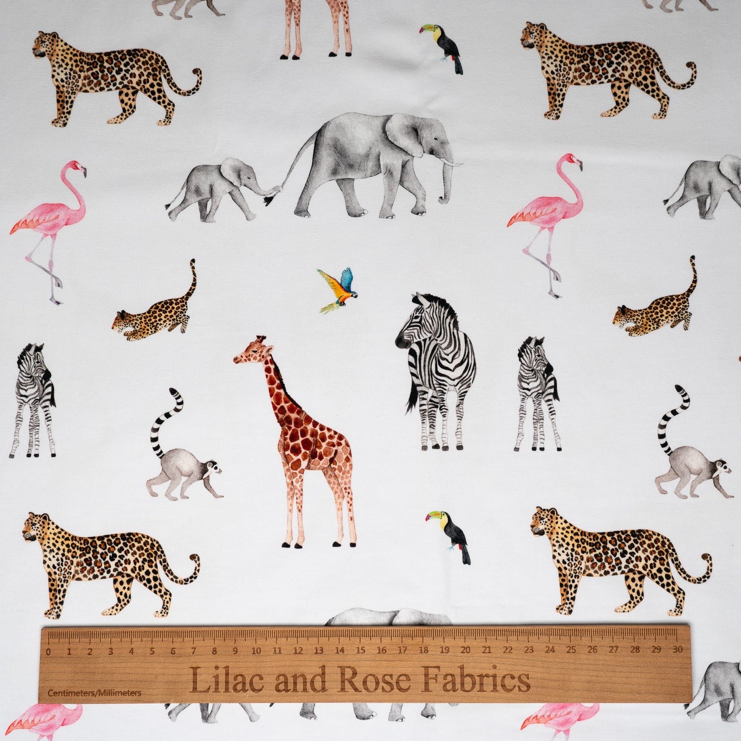 Cotton Jersey 240gsm - Safari Adventure in White
