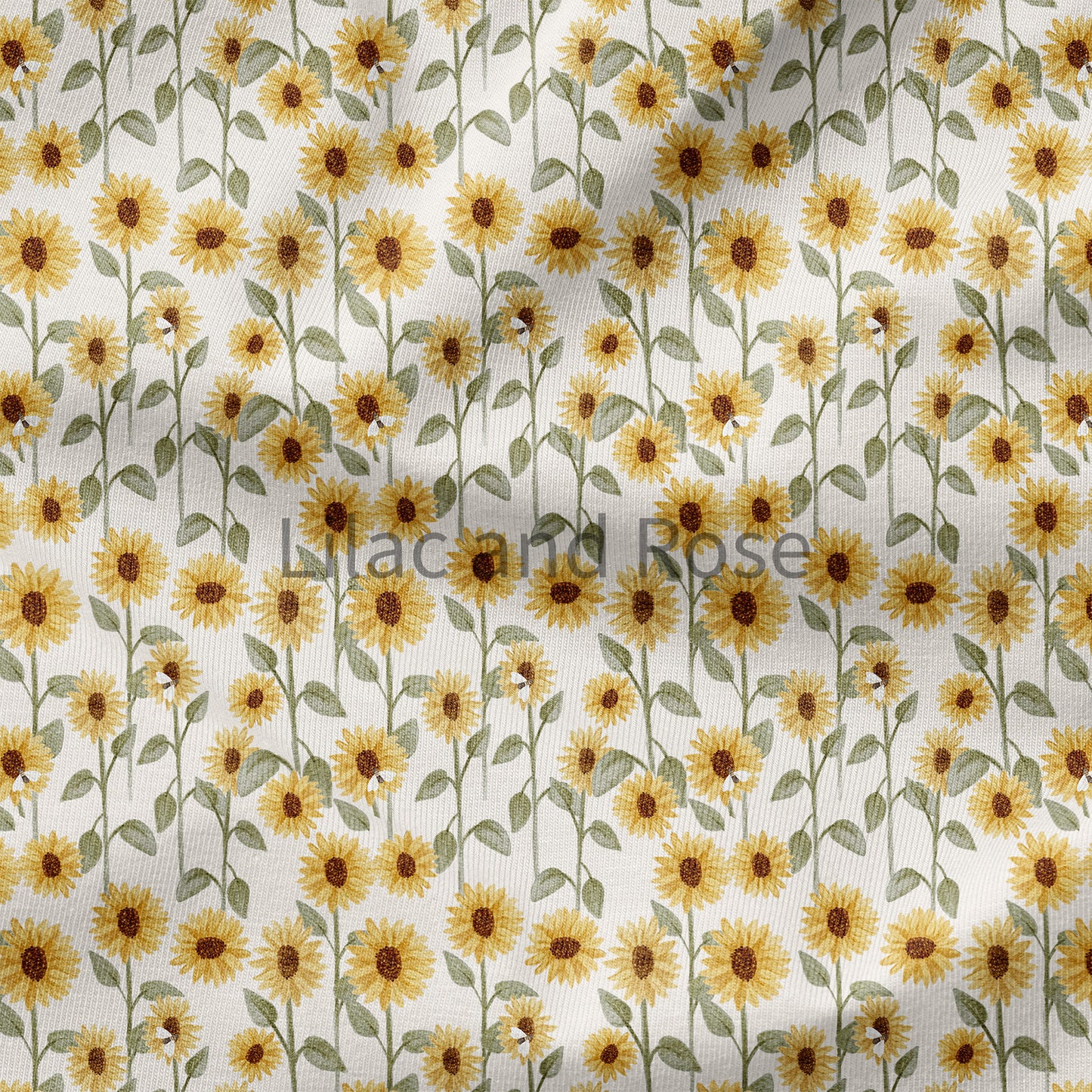 PRE-ORDER - Mini Sunflowers