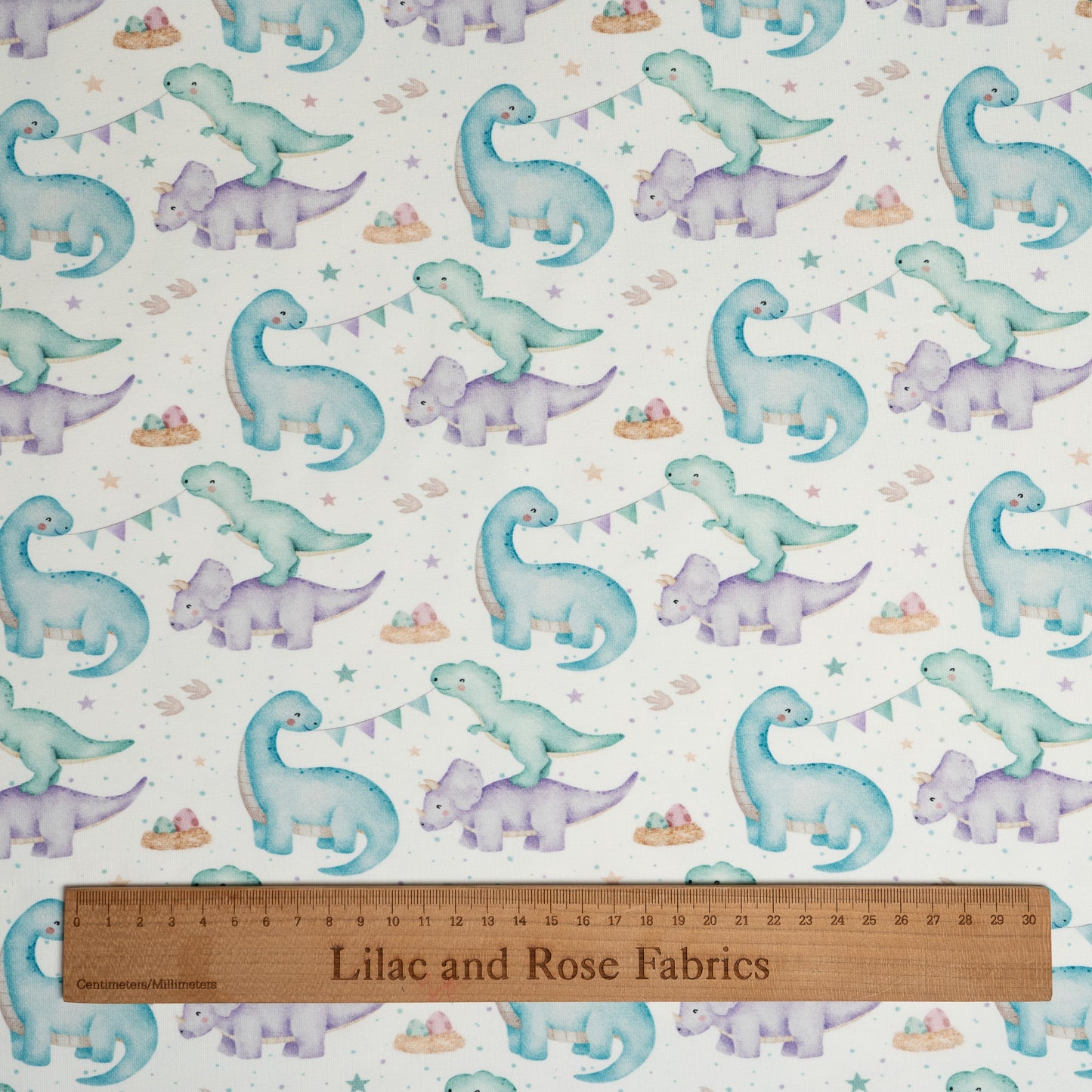 Cotton Jersey - Party Dinos (Exclusive)