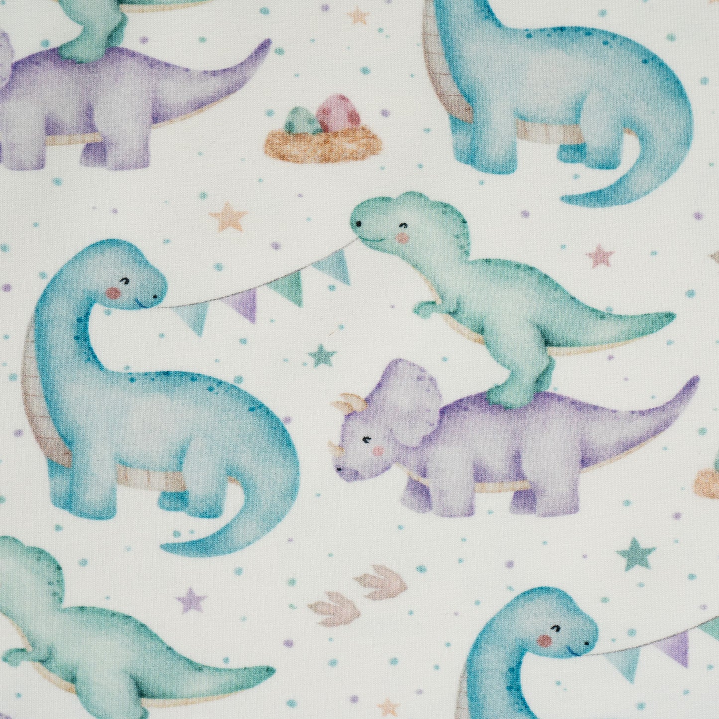 Cotton Jersey - Party Dinos (Exclusive)