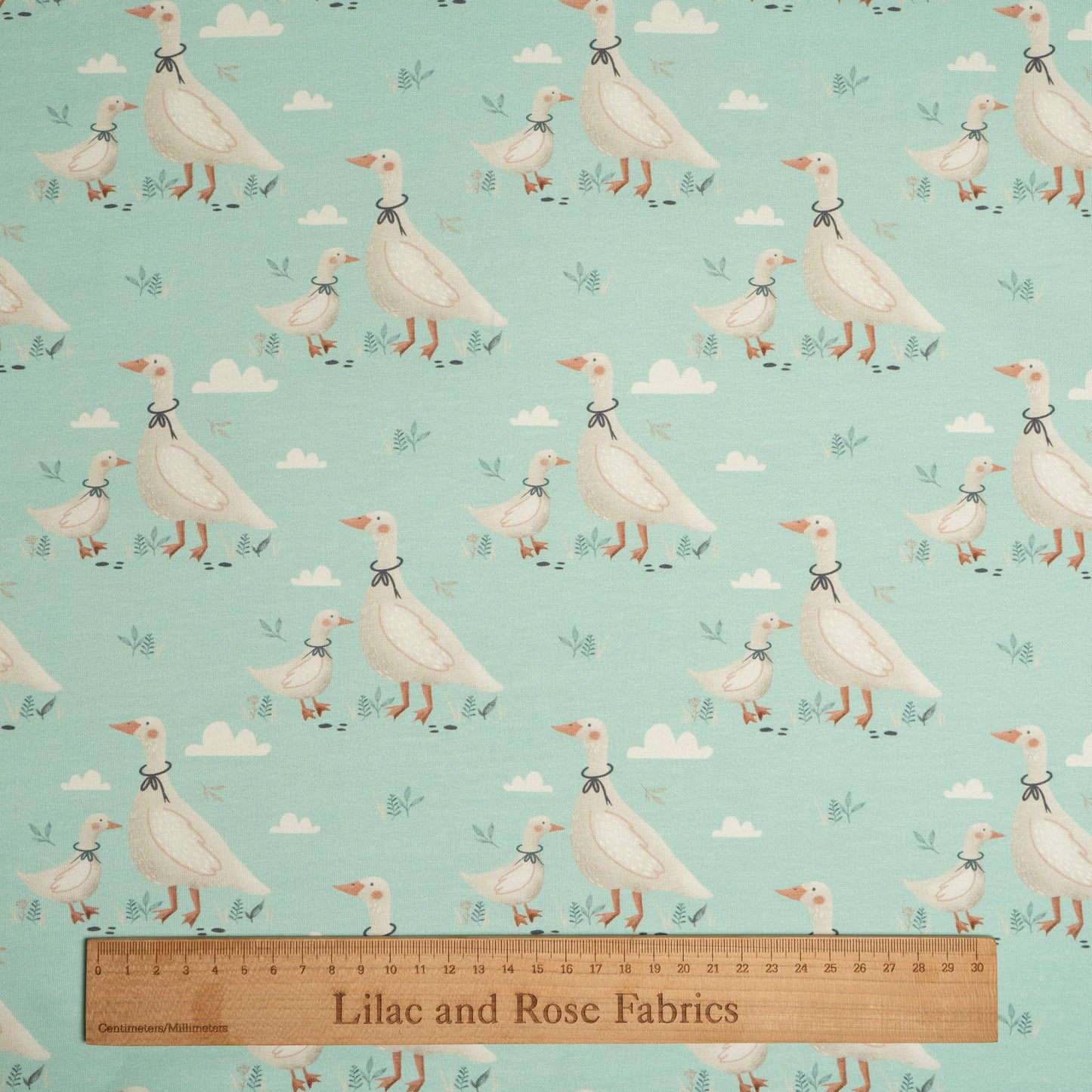 Cotton Jersey - Gussie in Mint (Exclusive)