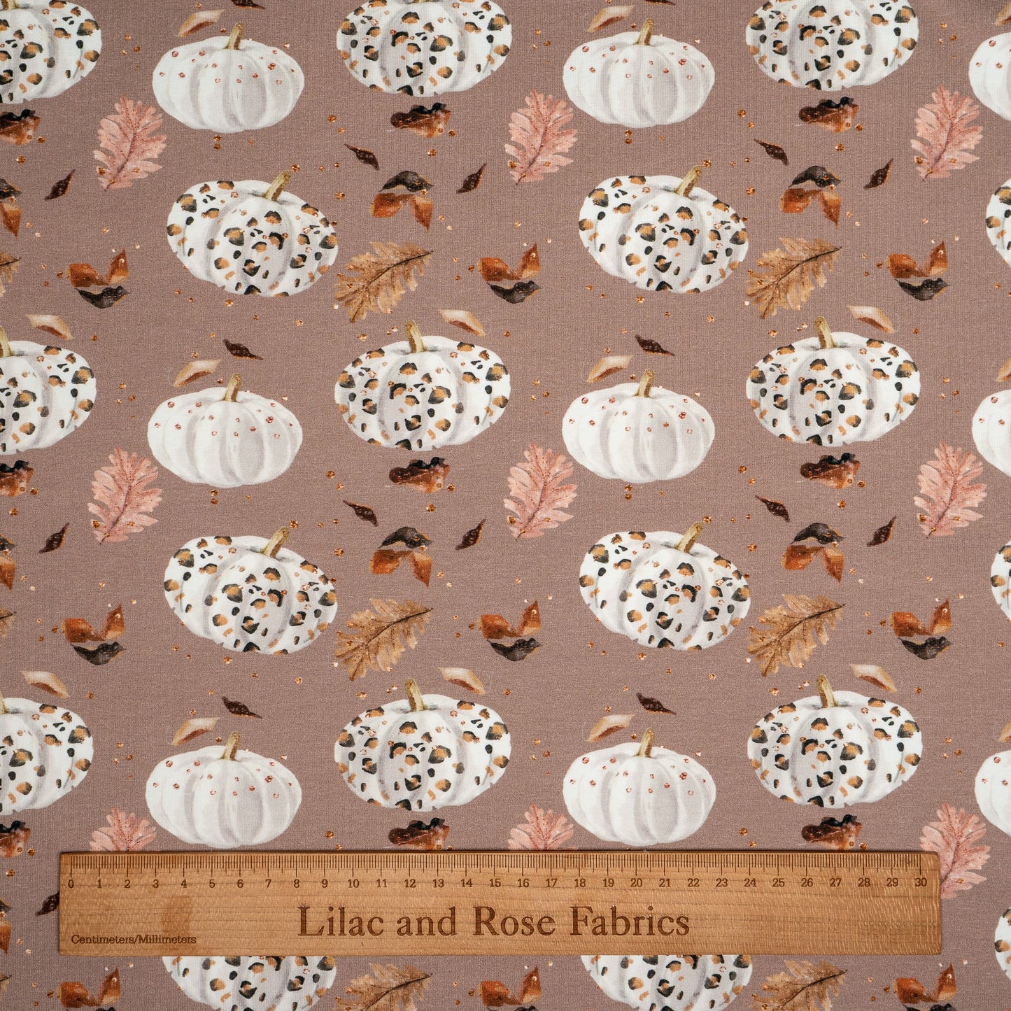 Cotton Jersey - Leopard Print Pumpkins