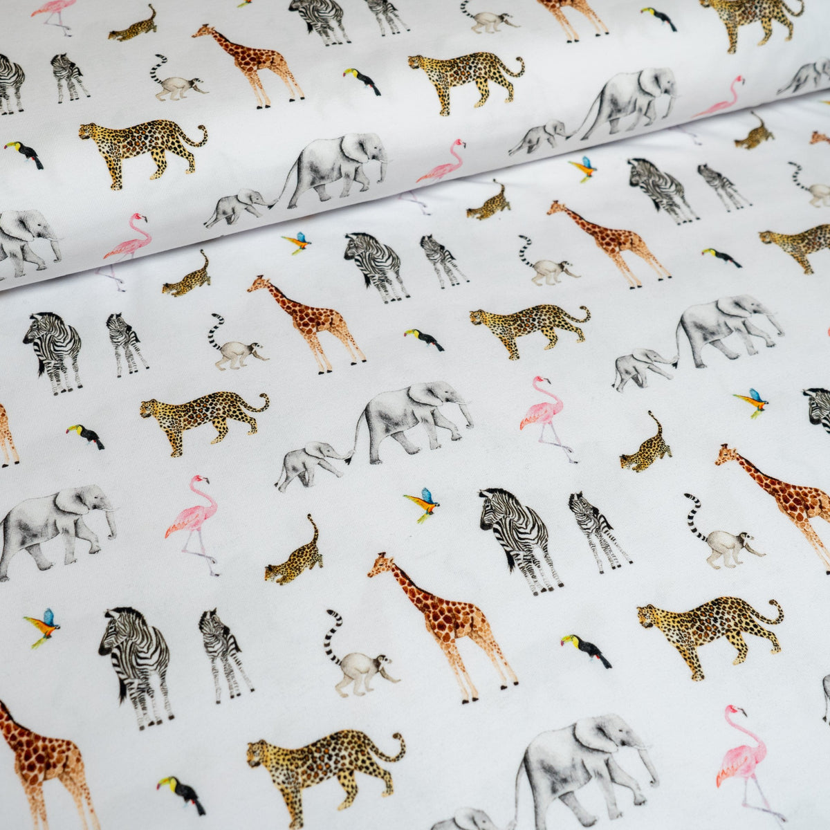 Remnant 1m - Organic Cotton Jersey - Safari Adventure