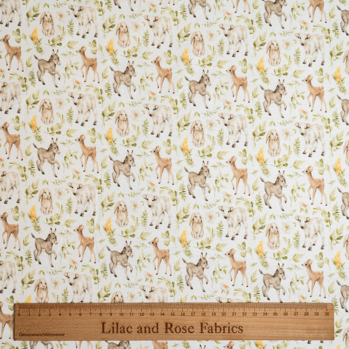 Remnant 50cm - Cotton Jersey - Spring Animals